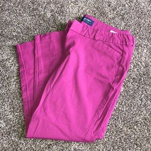 Magenta pixie pants